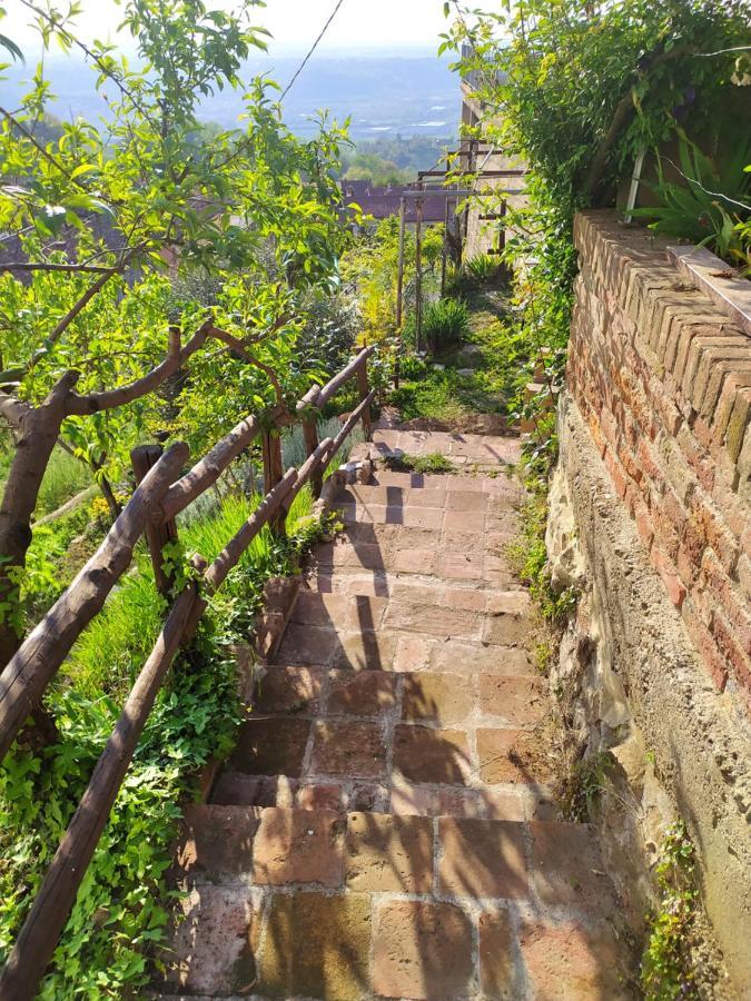 Casa Mantel Holiday Home Panoramic View In Langhe Novello Εξωτερικό φωτογραφία