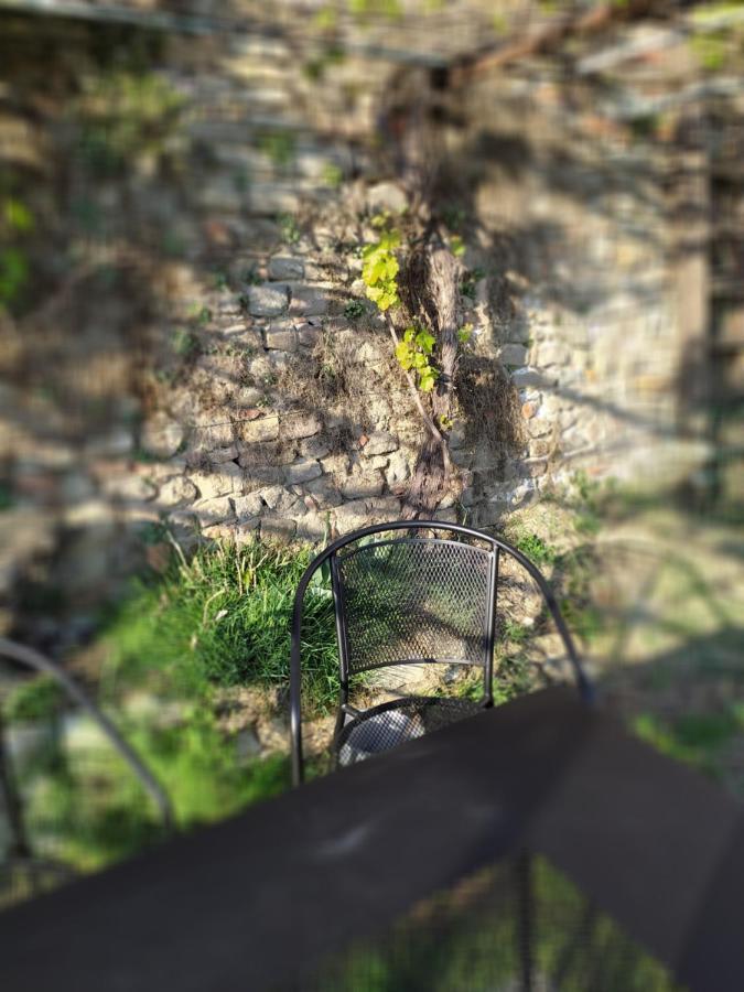 Casa Mantel Holiday Home Panoramic View In Langhe Novello Εξωτερικό φωτογραφία