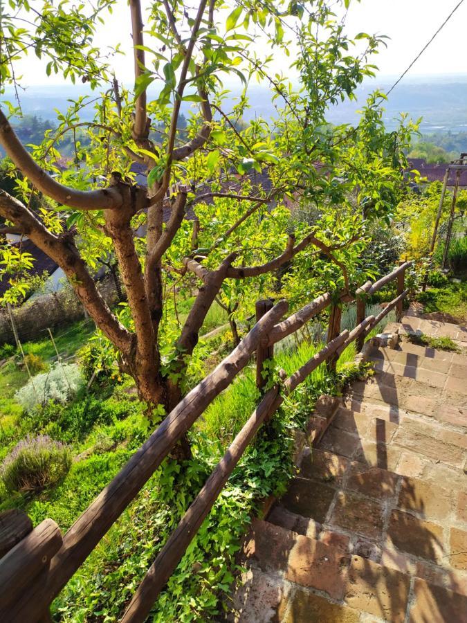 Casa Mantel Holiday Home Panoramic View In Langhe Novello Εξωτερικό φωτογραφία